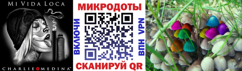 купить  сайты  Судак  Галлюциногенные грибы прущие грибы 